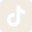 TikTok Icon